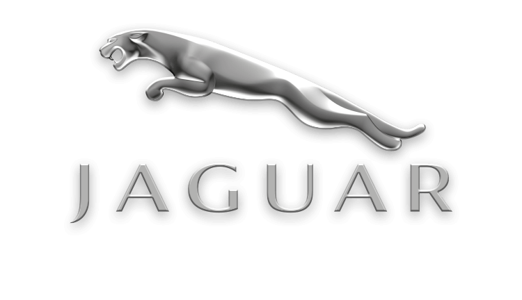 (Turkish) Jaguar